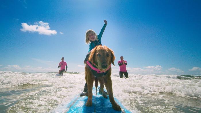 Superpower Dogs Movie: Ricochet, a Golden Retriever from southern California, surfs with children with special needs as a form of therapy