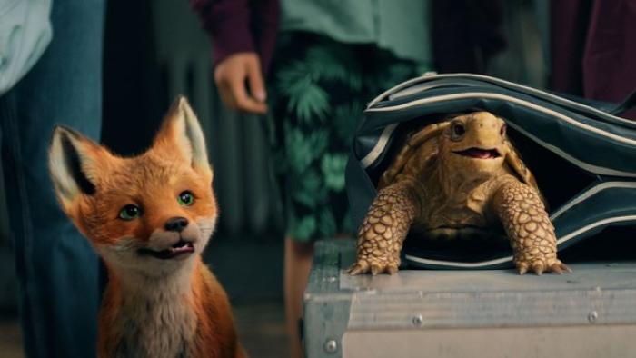 School of Magical Animals 2: A fox and a tortoise smile 