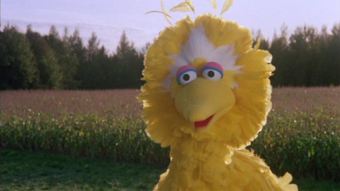 Sesame Street Presents: Follow That Bird Poster Image