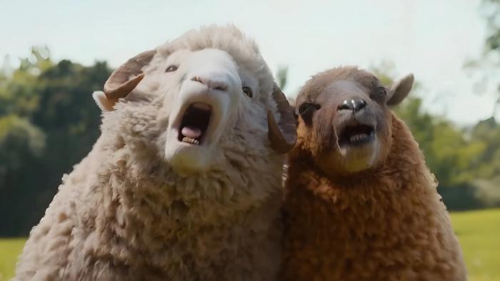 The Sheep Detectives Movie: Lily and Mopple look alarmed