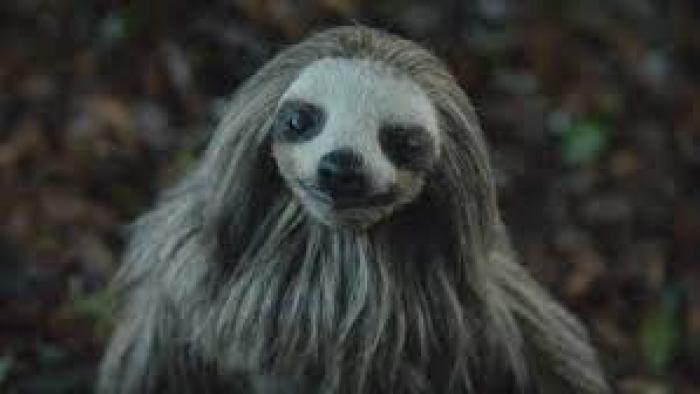Slotherhouse scene 1: creepy sloth