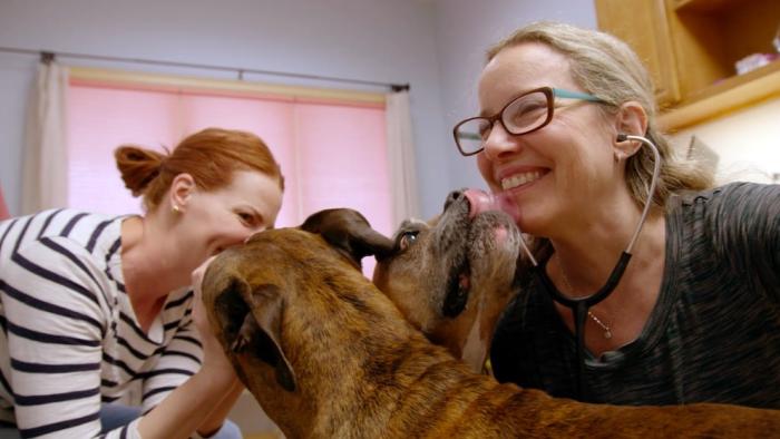 The Dog Doc Movie: Scene #3