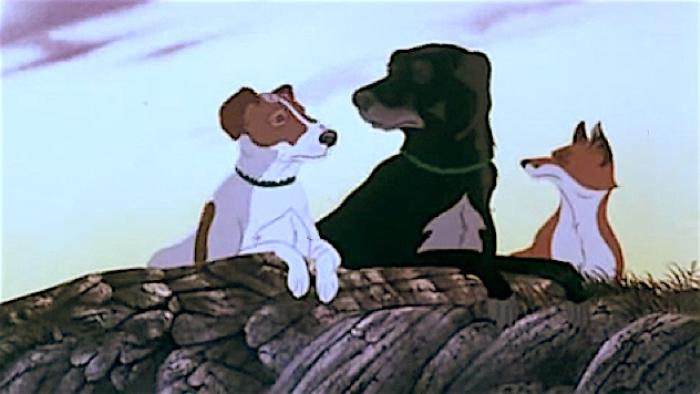 The Plague Dogs Movie: Scene #1