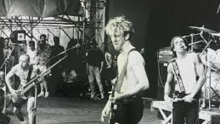 The Rise of the Red Hot Chili Peppers: Our Brother, Hillel: Concert picture.