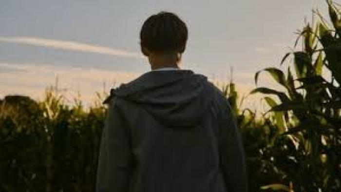 The Correction Unit: Back of man as he looks beyond the horizon