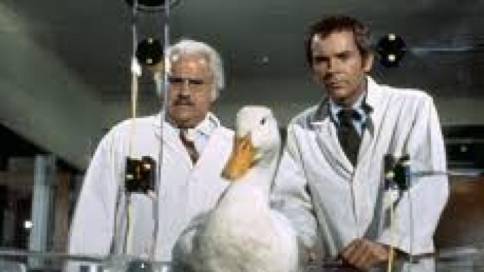 The Million Dollar Duck Movie: Jack Kruschen, duck, and Dean Jones