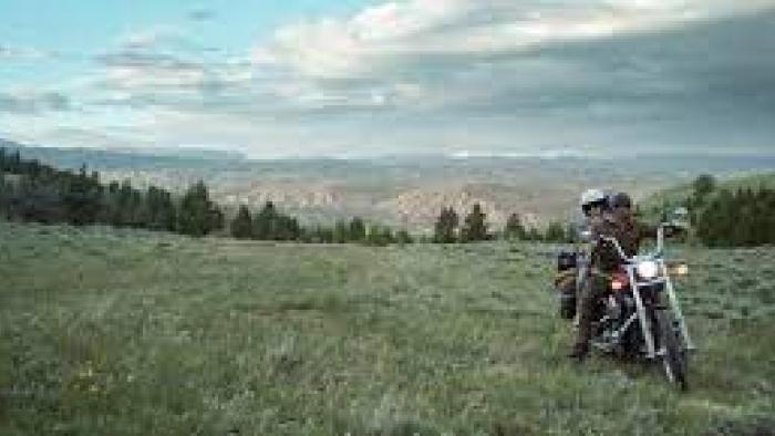 Two Yellow Lines Movie:  Scene #3