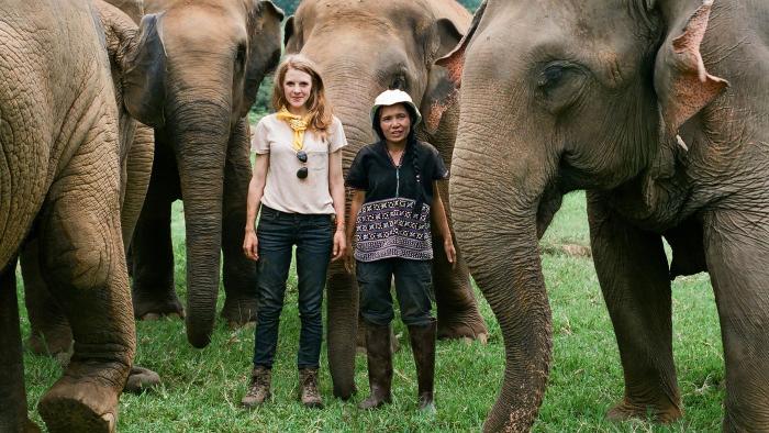 Love & Bananas: An Elephant Story Movie: Scene #1