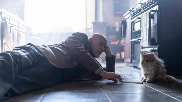 Mr. Blake at Your Service!: A bald, older White man lays on a kitchen floor talking to a fluffy cat