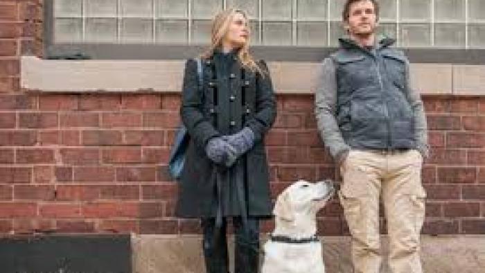 Who Gets the Dog? Movie:  Scene #2