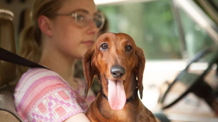 Wiener-Dog Movie: Scene #3