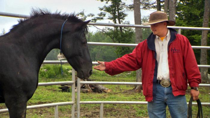 Wild Horse, Wild Ride Movie: Scene #1