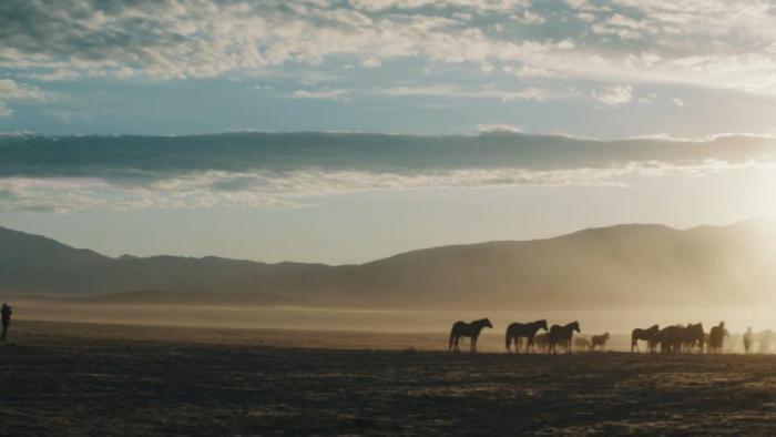 Wild Beauty: Mustang Spirit of the West: landscape and home of the mustangs.