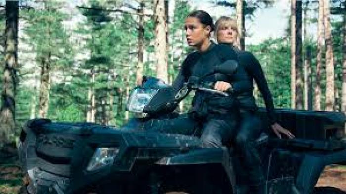 Wingwomen: two thieves escape