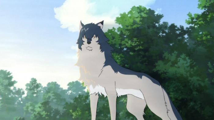 Wolf Children Movie: A silver wolf with navy fur on top stands proudly in the sunlight