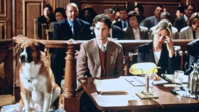 You Lucky Dog Movie: Scene #3