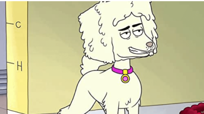 HouseBroken TV Show: Screenshot #3
