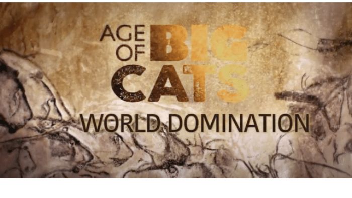 Age of Big Cats TV Show: Screenshot #3