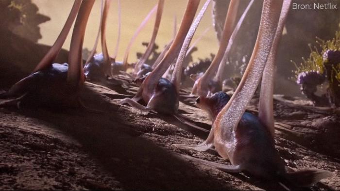 Alien Worlds: Imagining life on other planets