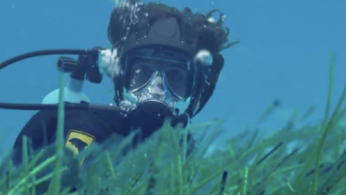 Andy’s Aquatic Adventures TV Series: Andy diving underwater. 