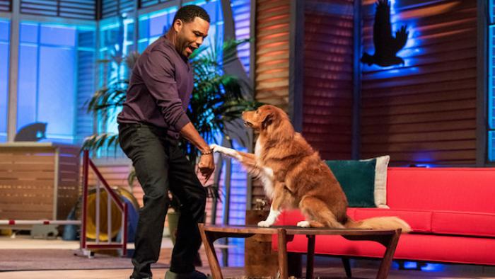Animal Nation with Anthony Anderson TV Show: Scene #1