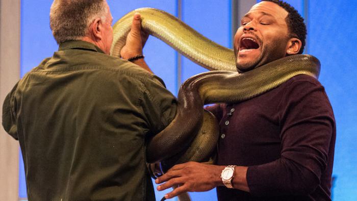 Animal Nation with Anthony Anderson TV Show: Scene #3