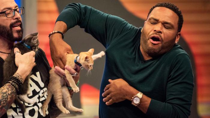 Animal Nation with Anthony Anderson TV Show: Scene #4