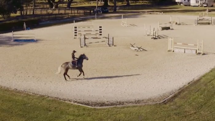 Bad Sport TV Show: Equestrian practice. 