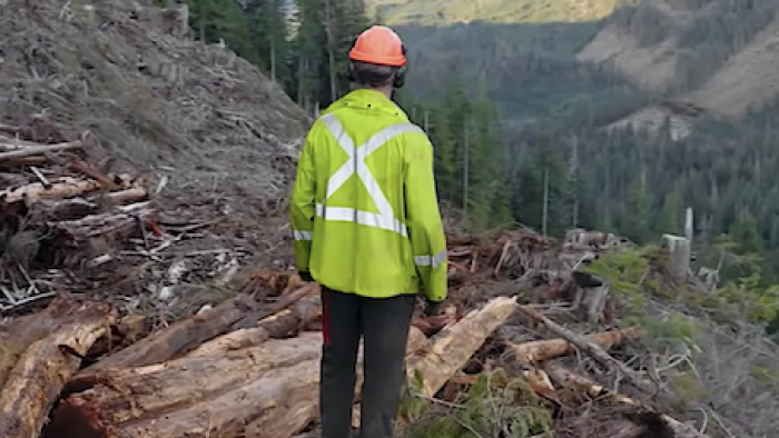 Big Timber TV Show: The Big Timber crew. Looking over the steep tree claim. 