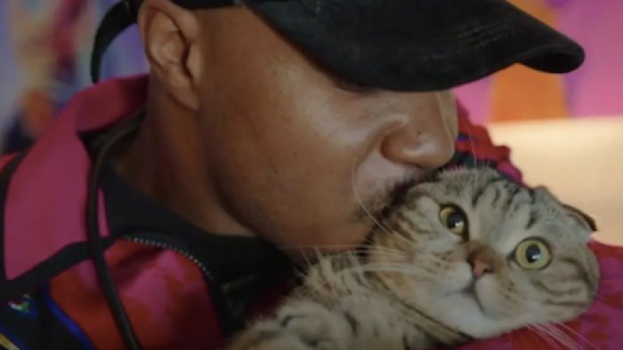 Cat People TV Show: Kitty love. 