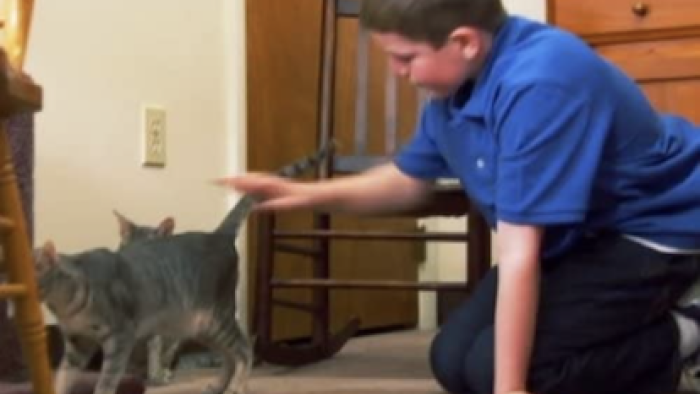 Playing with kitty. 