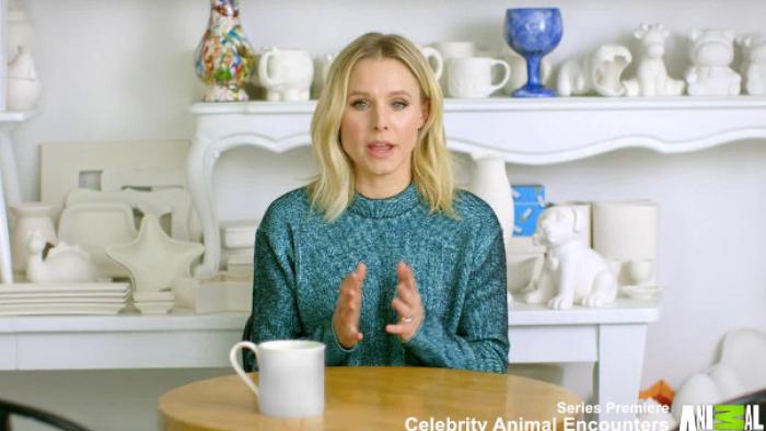 Celebrity Animal Encounters TV Series: Scene #5