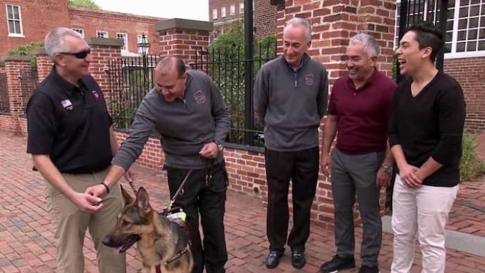 Cesar Millan’s Dog Nation TV Show: Scene #2