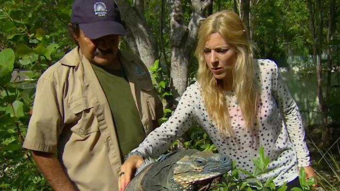 Deadly Nightmares of Nature TV Series: Petting a frilly lizard. 