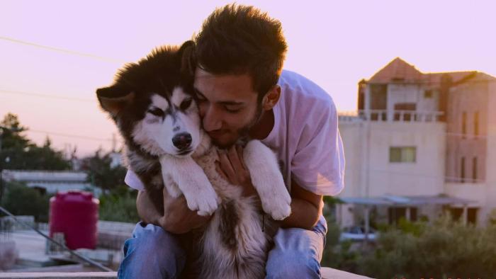 Dogs Series: Scene #3