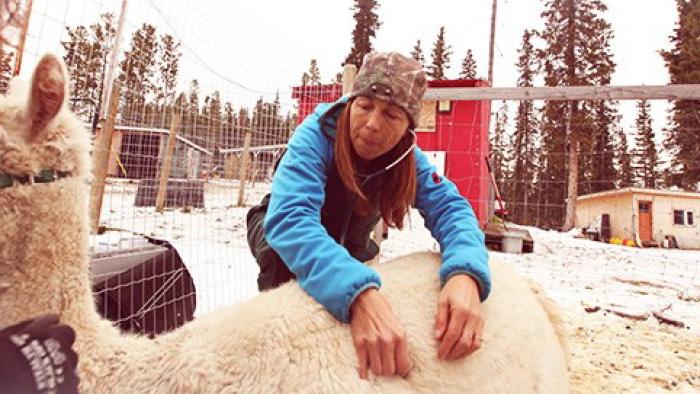 Dr. Oakley Yukon Vet TV Series: Scene #2
