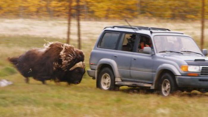 Dr. Oakley Yukon Vet TV Series: Scene #4
