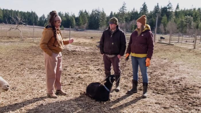 Farm Dreams TV Show: Farming expert Indy Officinalis talks to a couple in a farm field