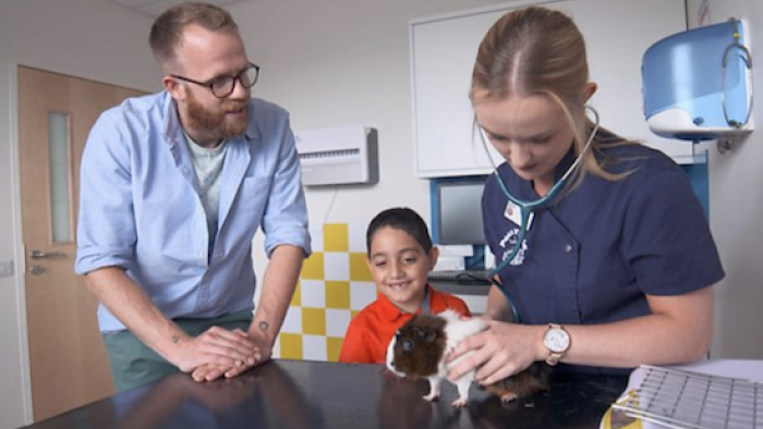 Ferne and Rory’s Vet Tales Series: A vet examines a guinea pig. 