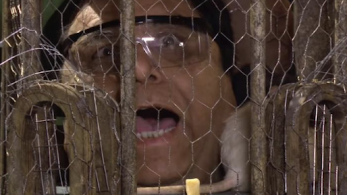 Flinch Series: A rat infested challenge. 