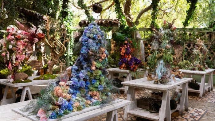 Full Bloom TV Show: A competition show that focuses on flowers