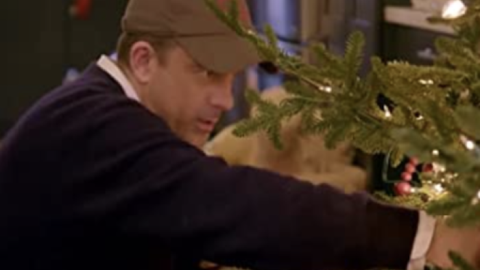 Decorating a tree. 
