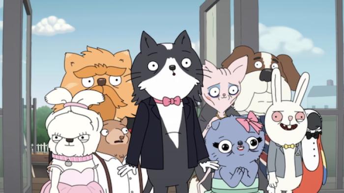 Kevin TV show screenshot 2: Kevin and his fellow animal rescue residents stand in a doorway in formalwear, most of them looking nervous