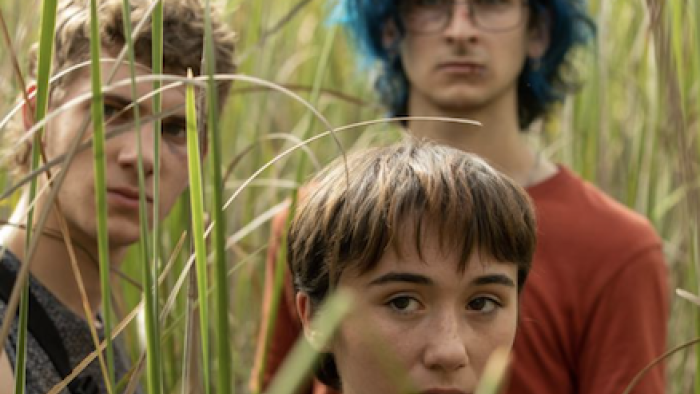 La chica invisible TV show screenshot 2: Ivan, Julia, and Emi watch from a grassy field. 