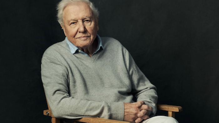 Mammals TV show screenshot 1: Sir David Attenborough in light green sweater. 