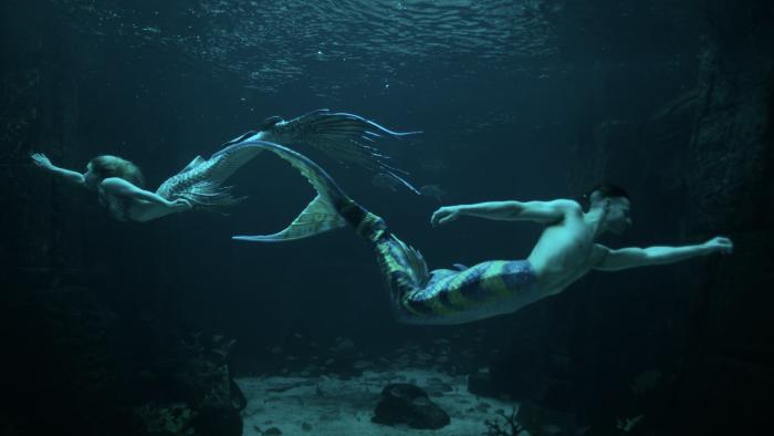 MerPeople TV show screenshot 3:A mermaid and Eric Ducharme (R) swimming in a tank.