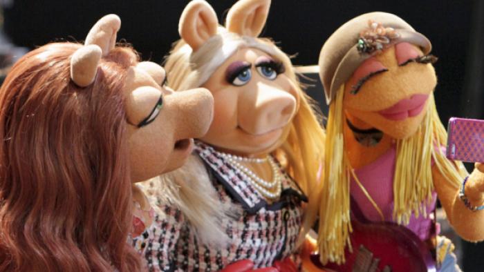 The Muppets