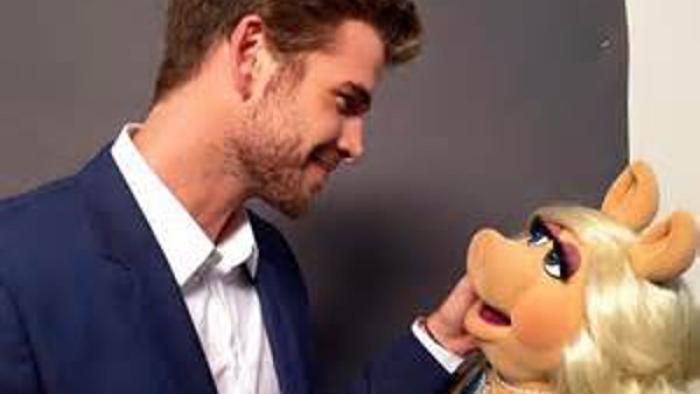 The Muppets