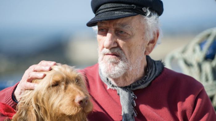 Old Jack’s Boat: Rockpool Tales TV Series: Old Jack and Salty. 