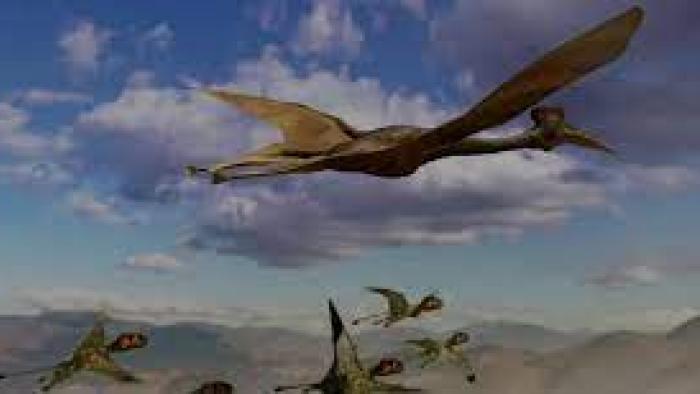 Prehistoric Worlds TV Show: Scene #2